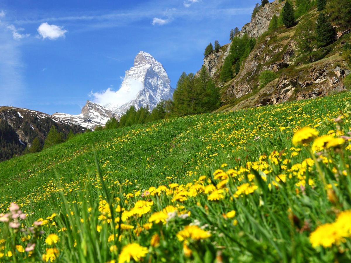 Apartment La Prairie By Interhome Zermatt Exteriér fotografie